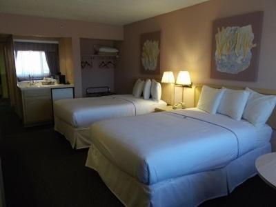 Bonnie Castle Resort & Marina Alexandria Bay Rum bild